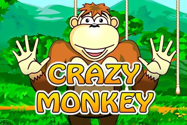 Crazy Monkey Crazy Monkey